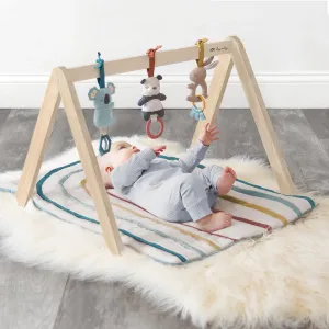 BITZY BESPOKE RITZY ACTIVITY WOODEN GYM || RAINBOW