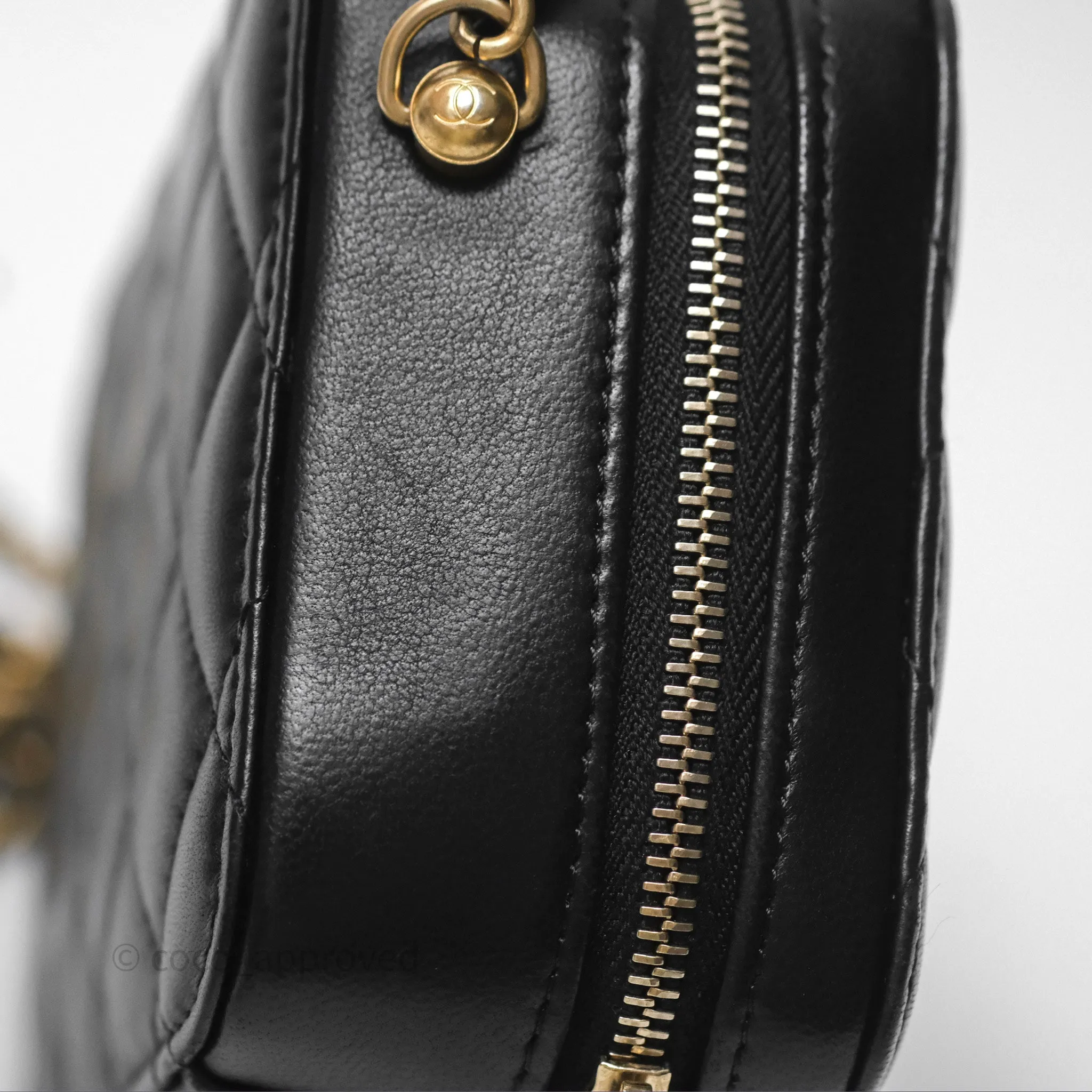 Chanel Pearl Crush Quilted Camera Bag Black Lambskin Aged Gold Hardware