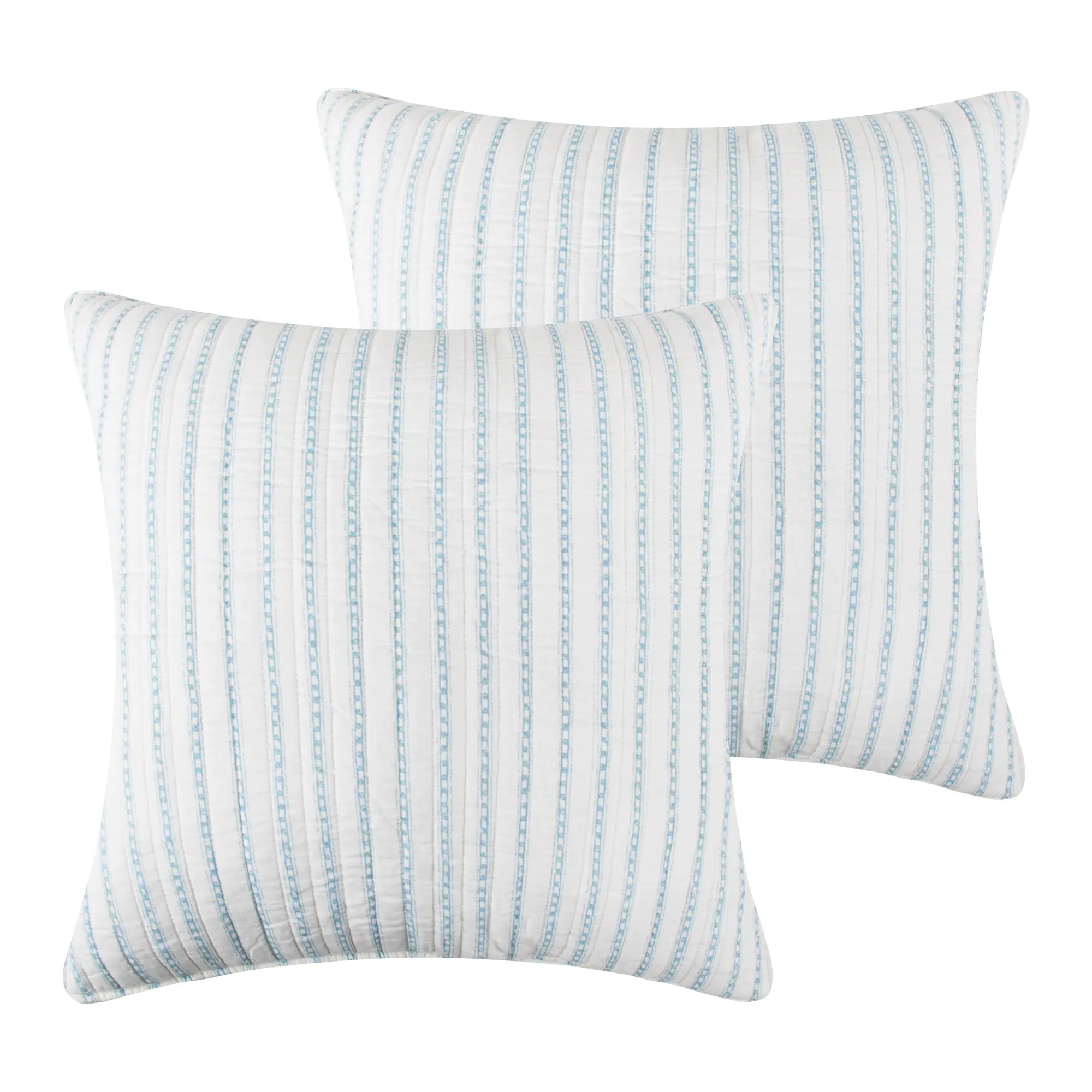 Chantae Euro Sham Set of 2