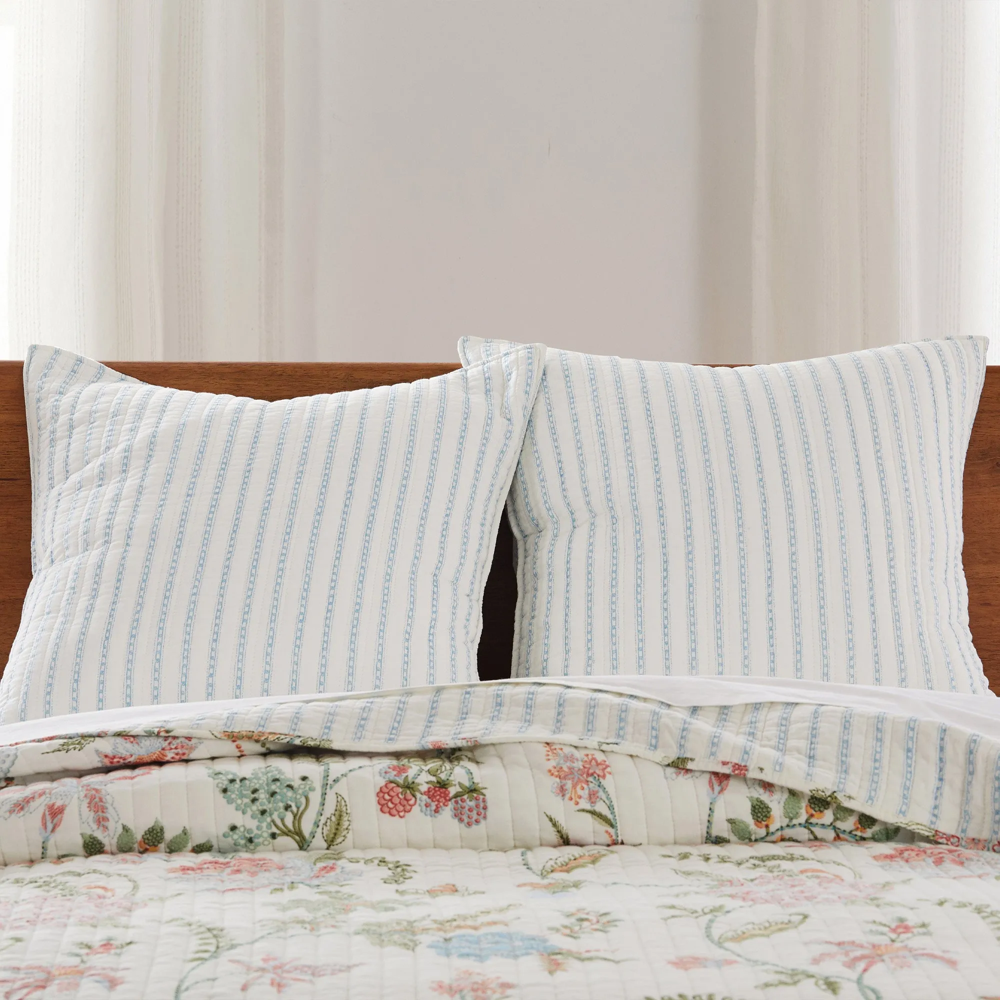 Chantae Euro Sham Set of 2