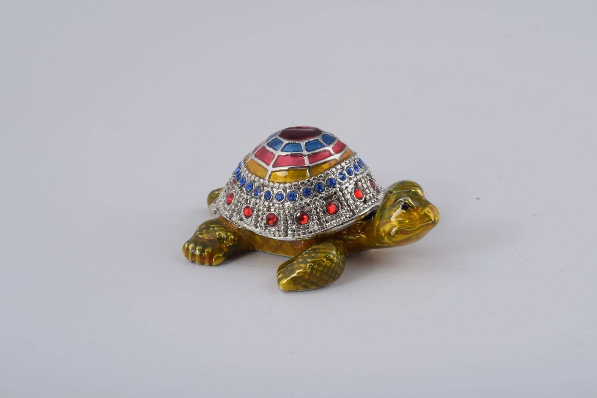 Colorful Shell Turtle