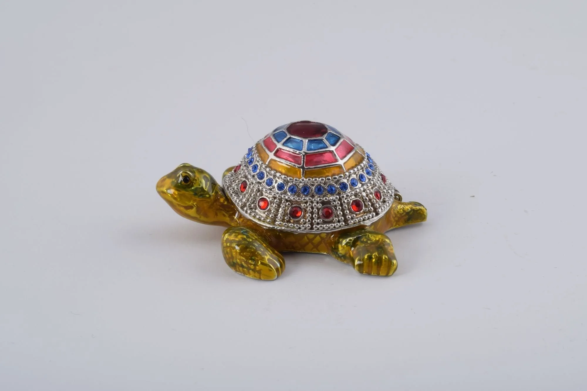 Colorful Shell Turtle