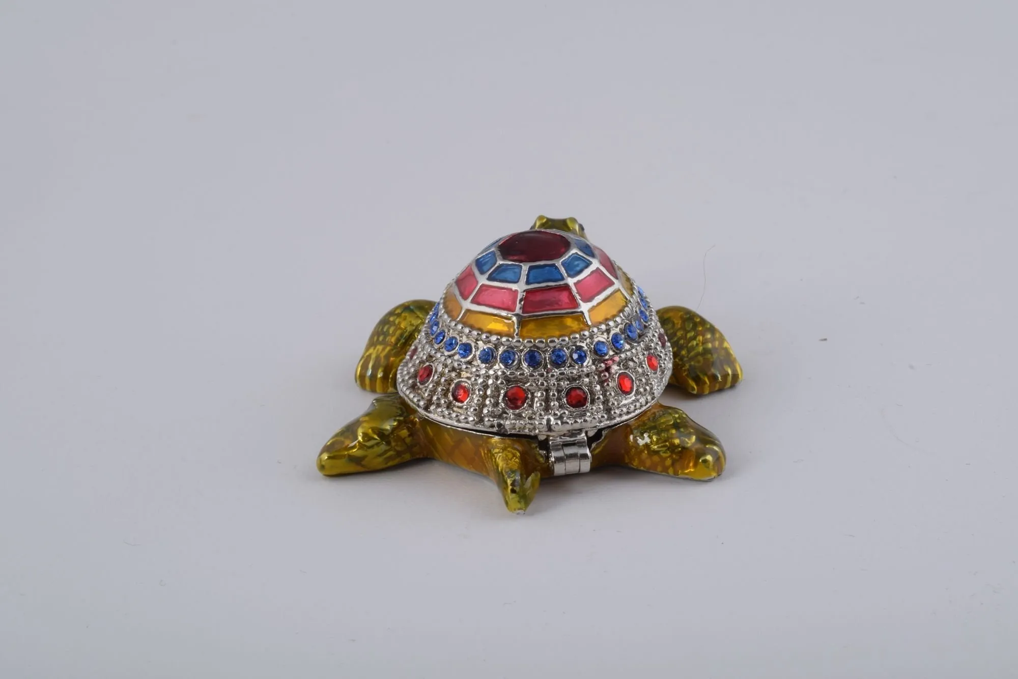 Colorful Shell Turtle