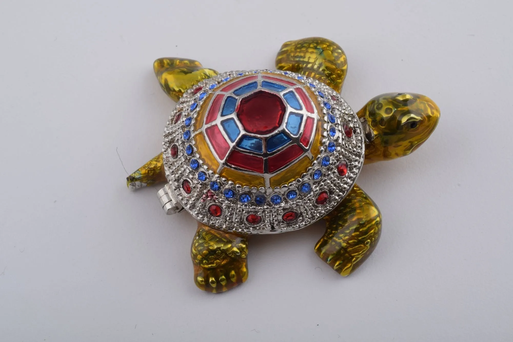 Colorful Shell Turtle