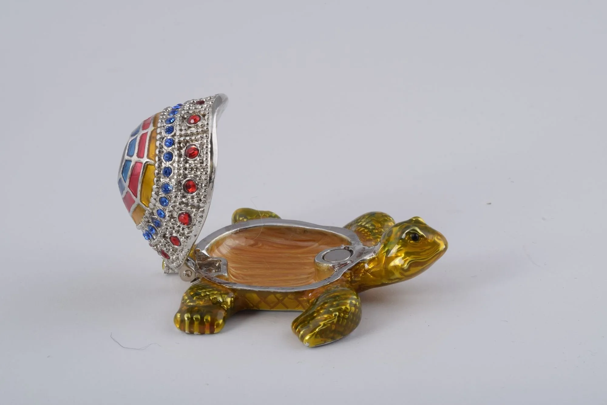 Colorful Shell Turtle