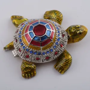 Colorful Shell Turtle