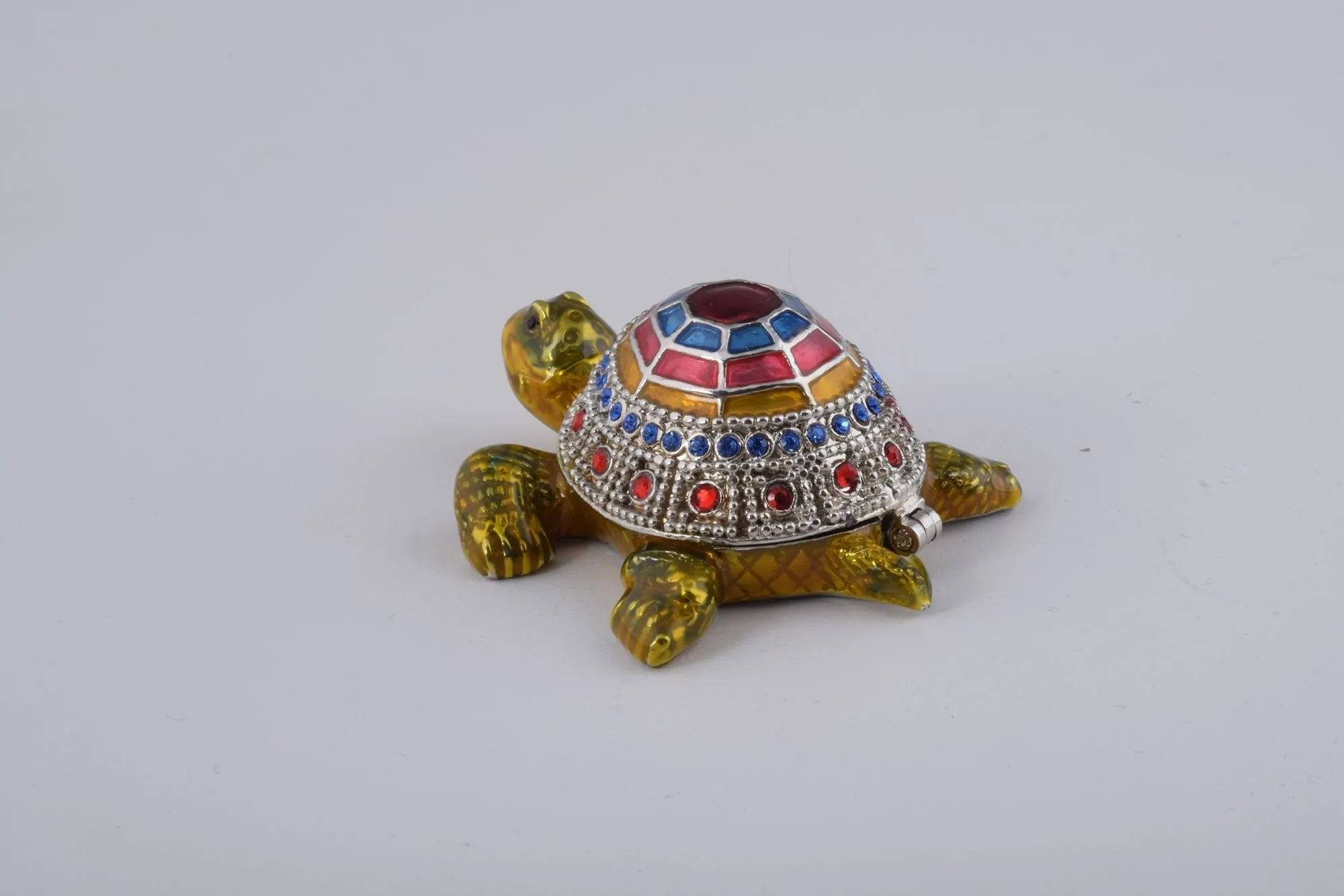 Colorful Shell Turtle