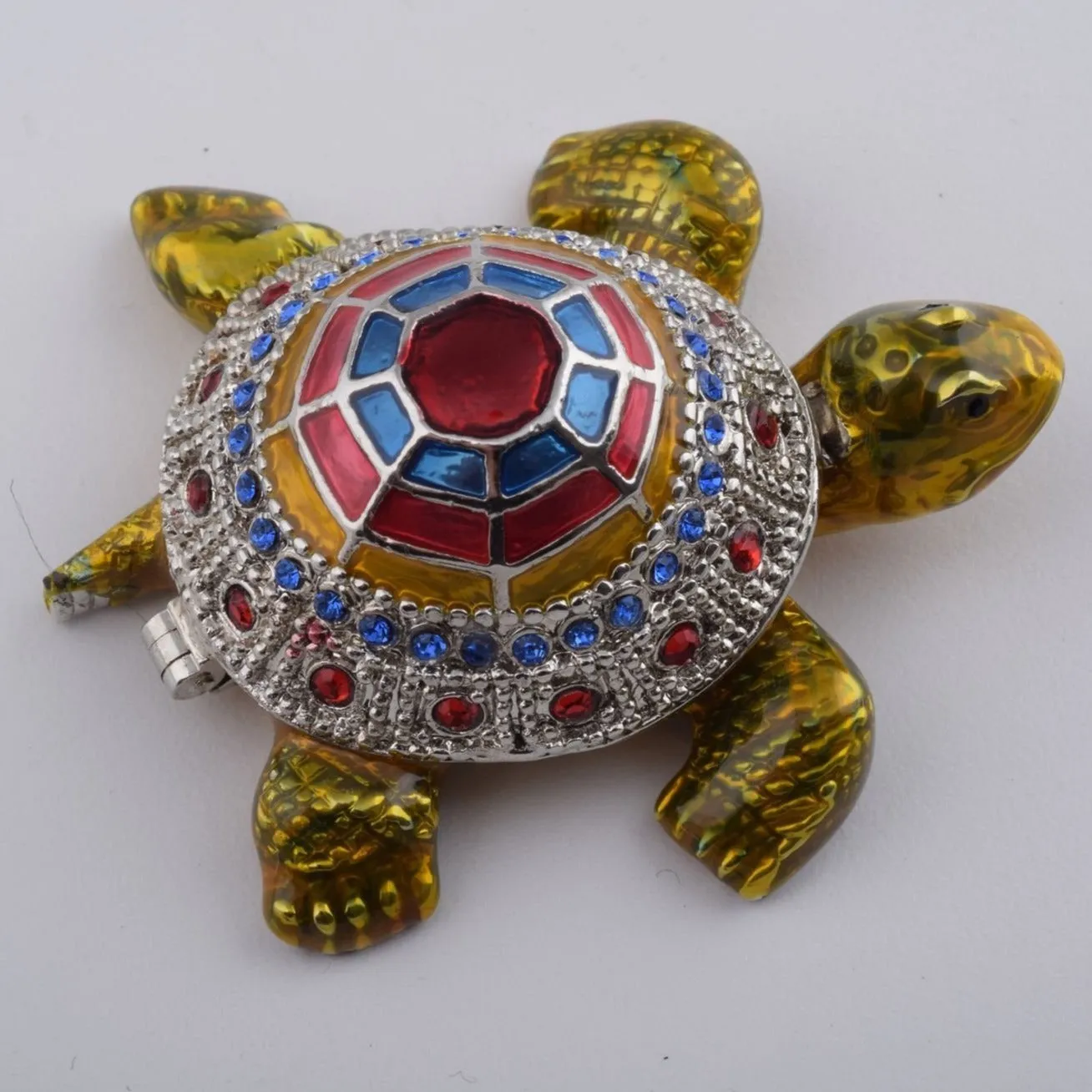 Colorful Shell Turtle