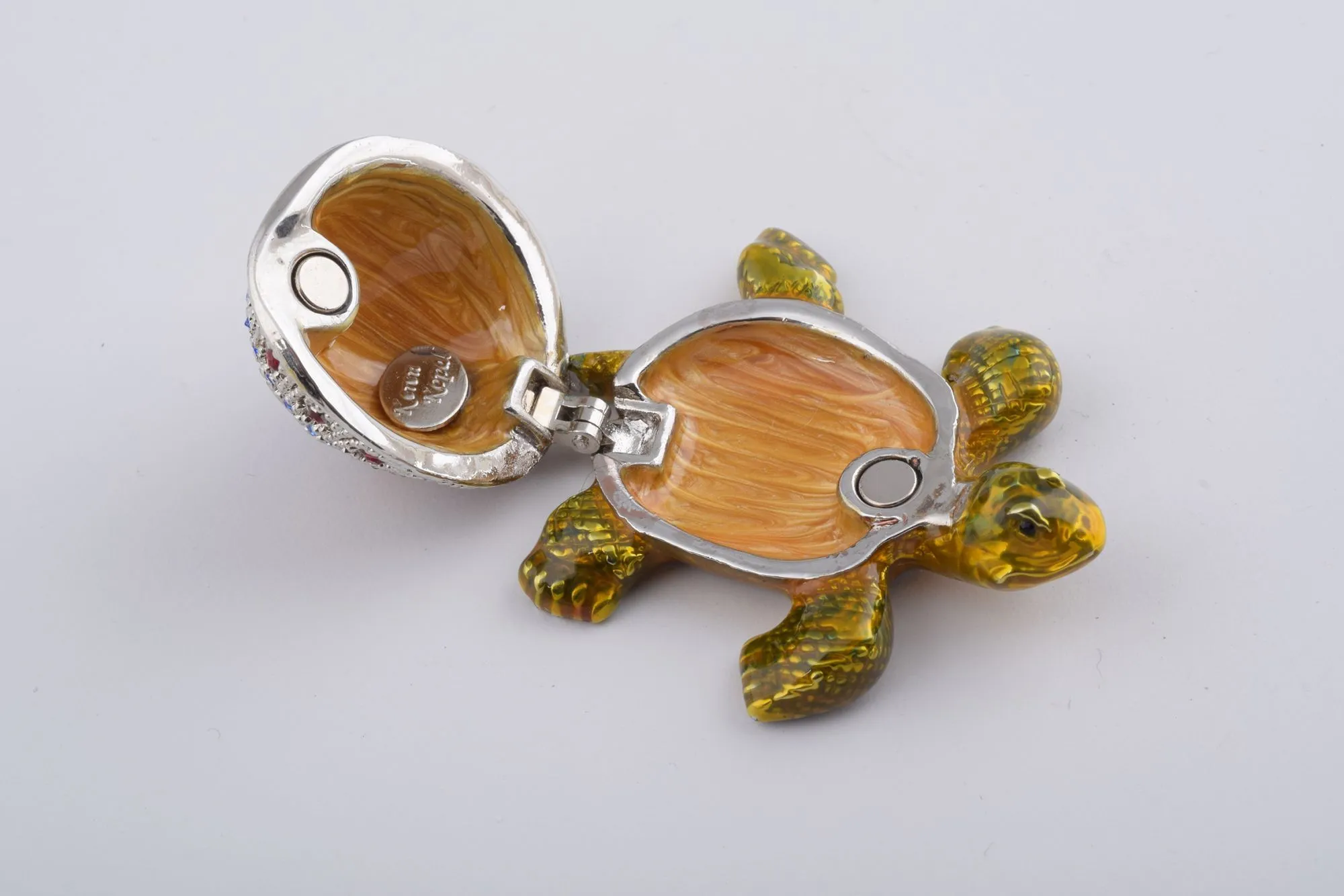 Colorful Shell Turtle