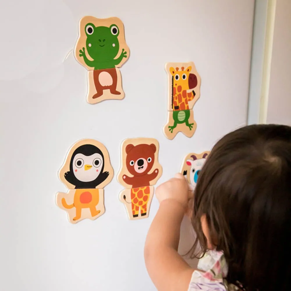 Djeco Wooden Magnetic Jungle Set