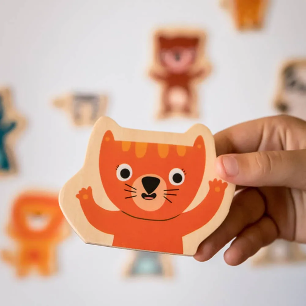 Djeco Wooden Magnetic Jungle Set