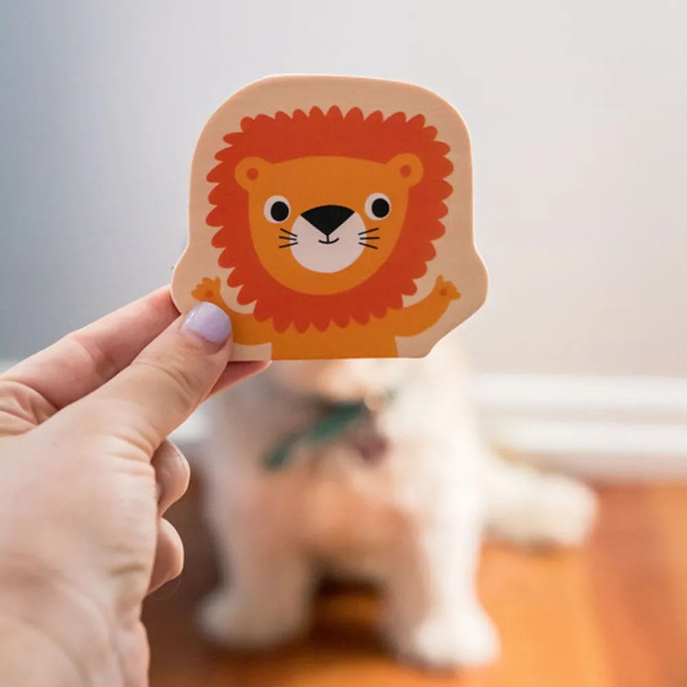 Djeco Wooden Magnetic Jungle Set