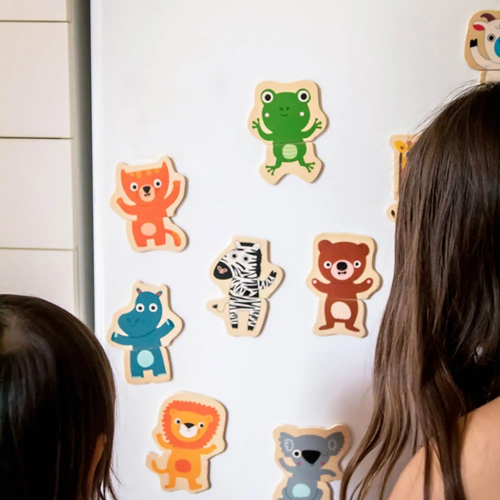 Djeco Wooden Magnetic Jungle Set