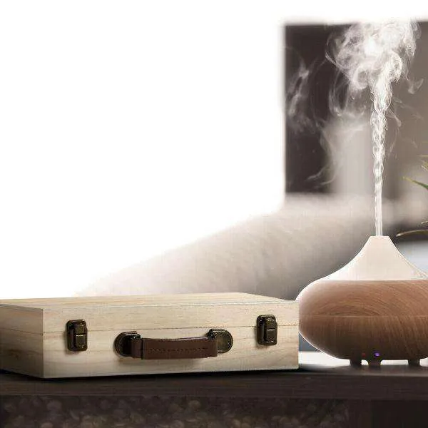 Essential Aromatherapy Oil Storage Box 70 LOTS