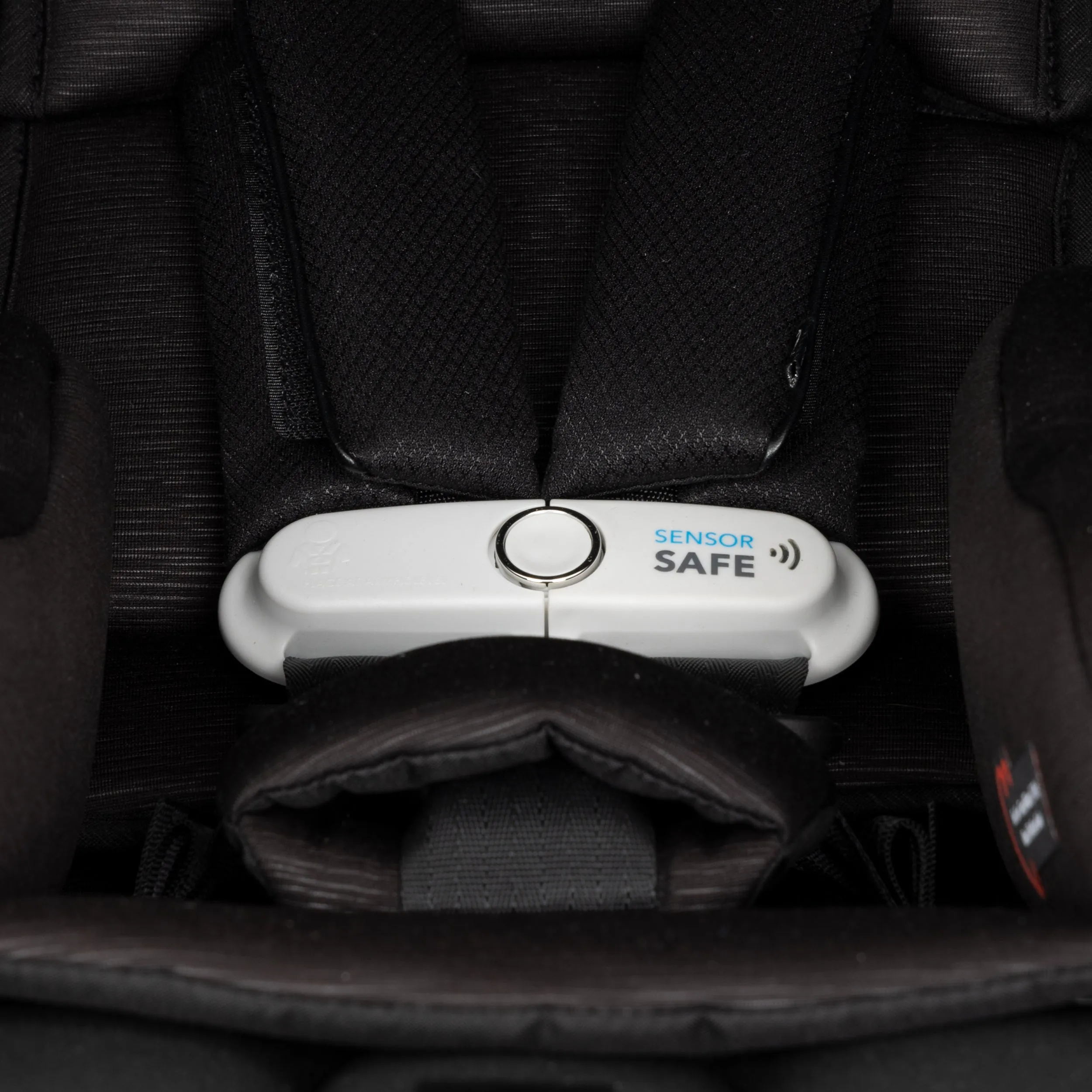 Evenflo Gold Shyft Dual Ride Travel System