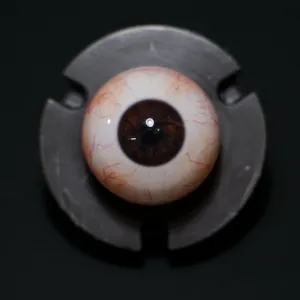 Fourth Seal Studios | Camera Ready Brown Eyes (Pair) 26mm / 28mm