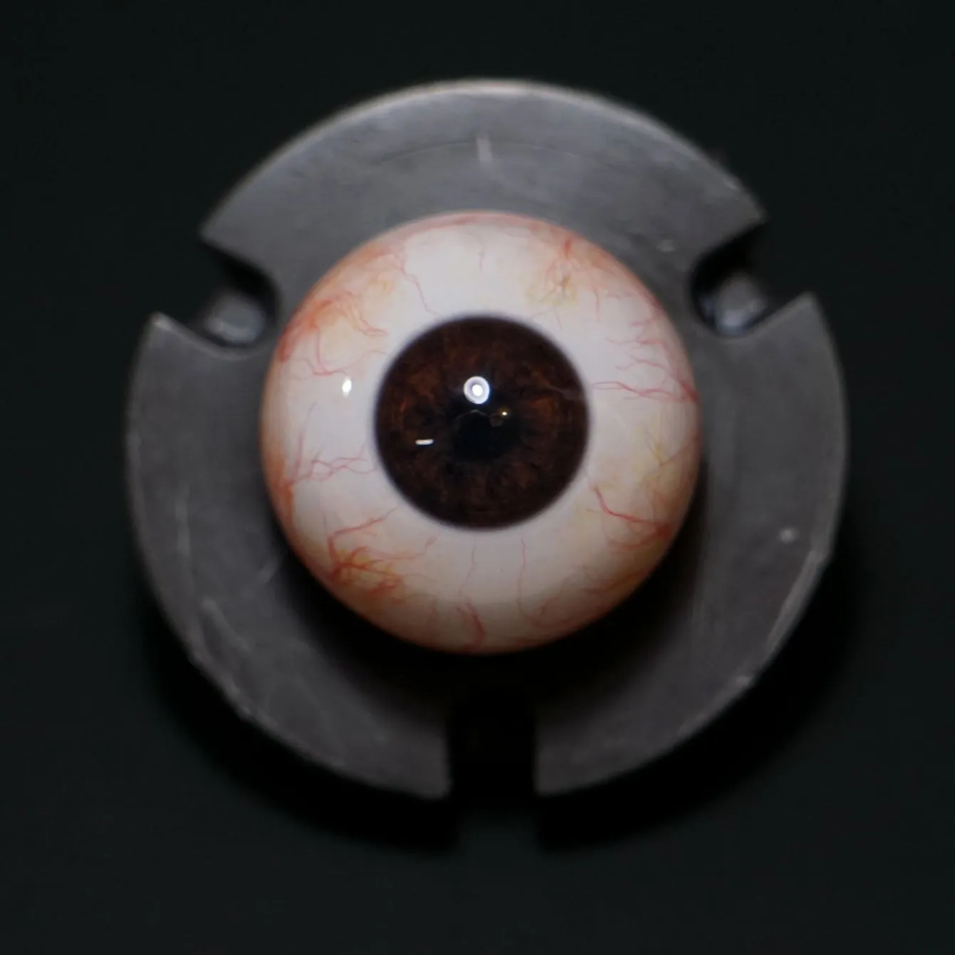 Fourth Seal Studios | Camera Ready Brown Eyes (Pair) 26mm / 28mm