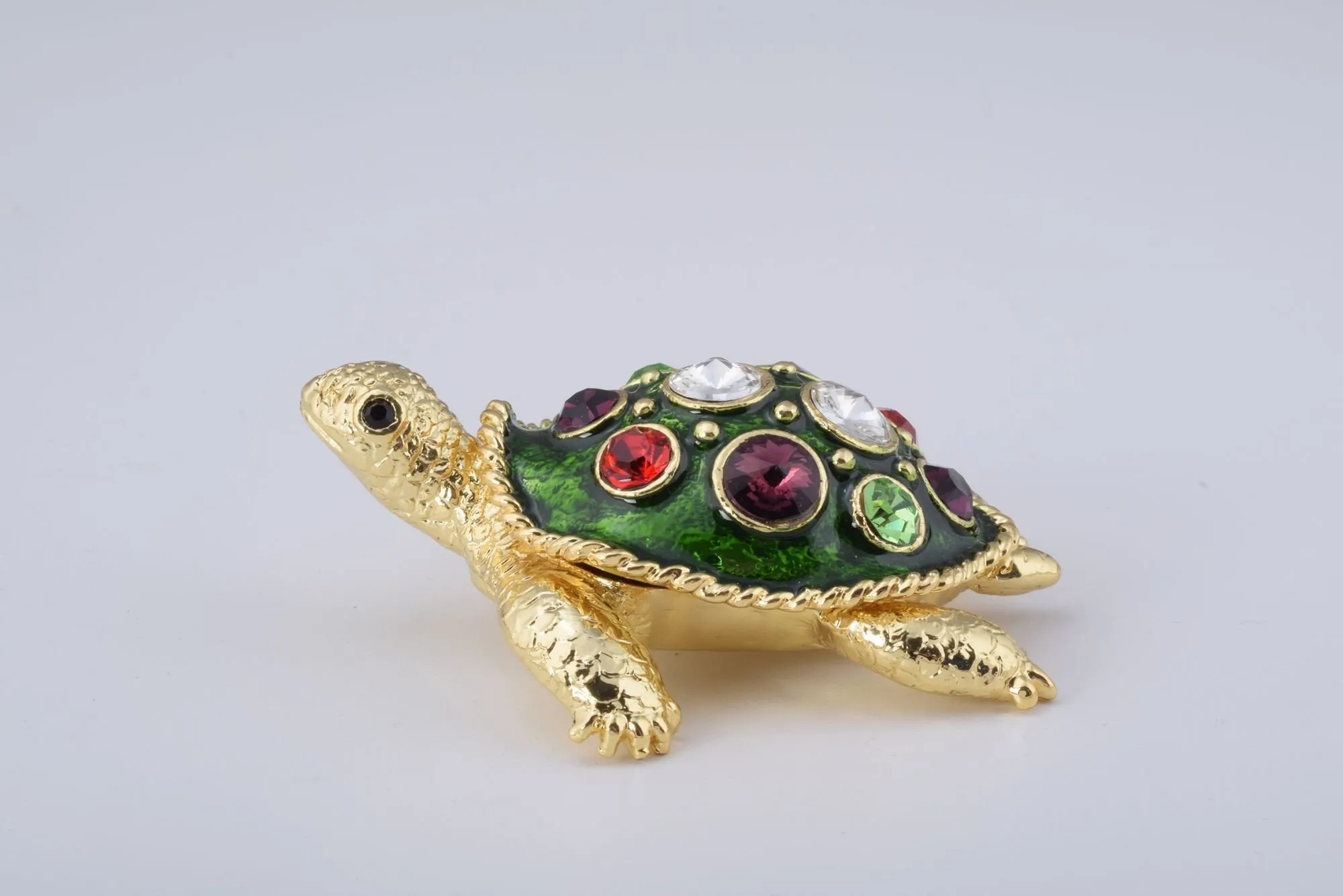 Green Shell Golden Turtle