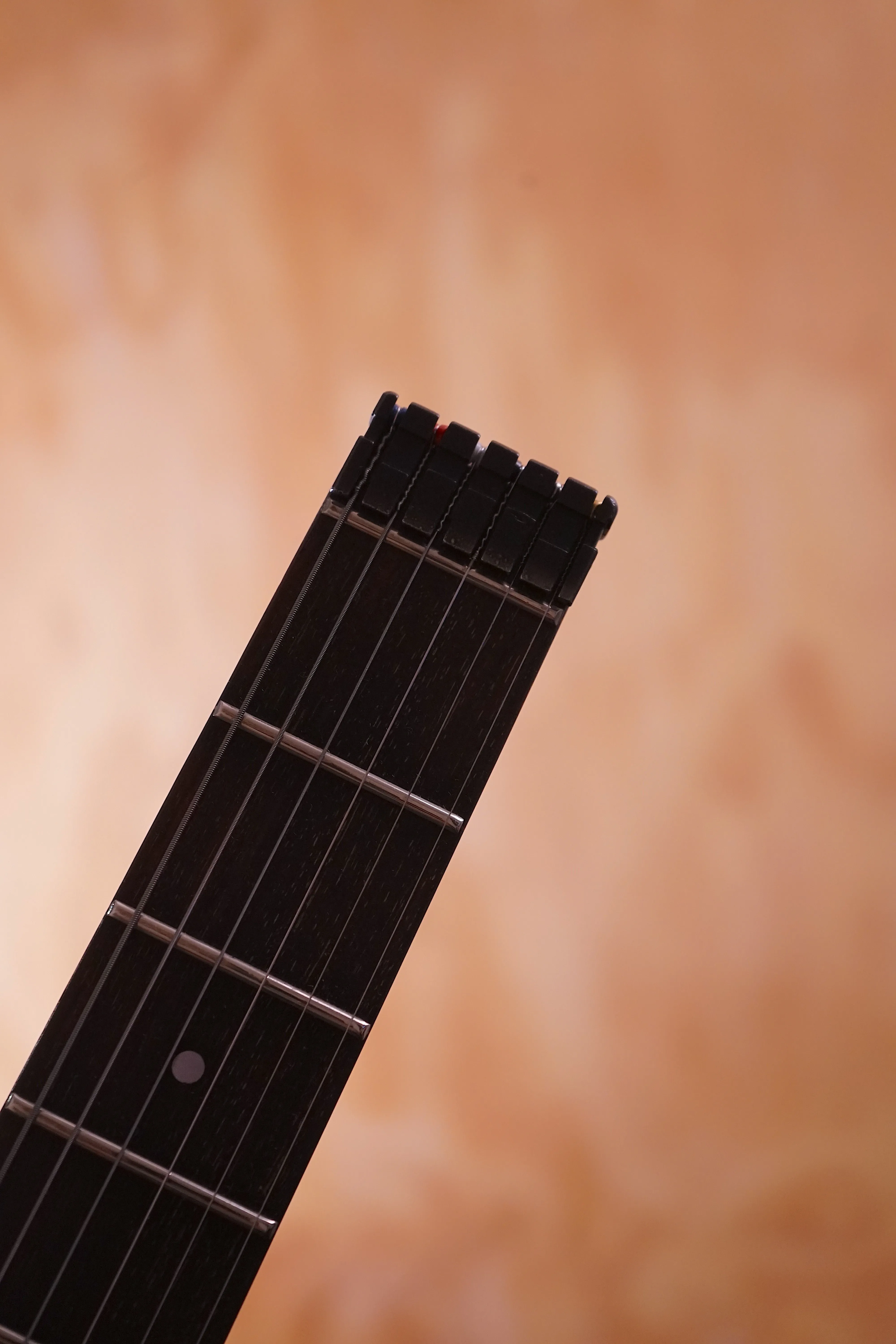 Hohner G2 Tremolo, USED