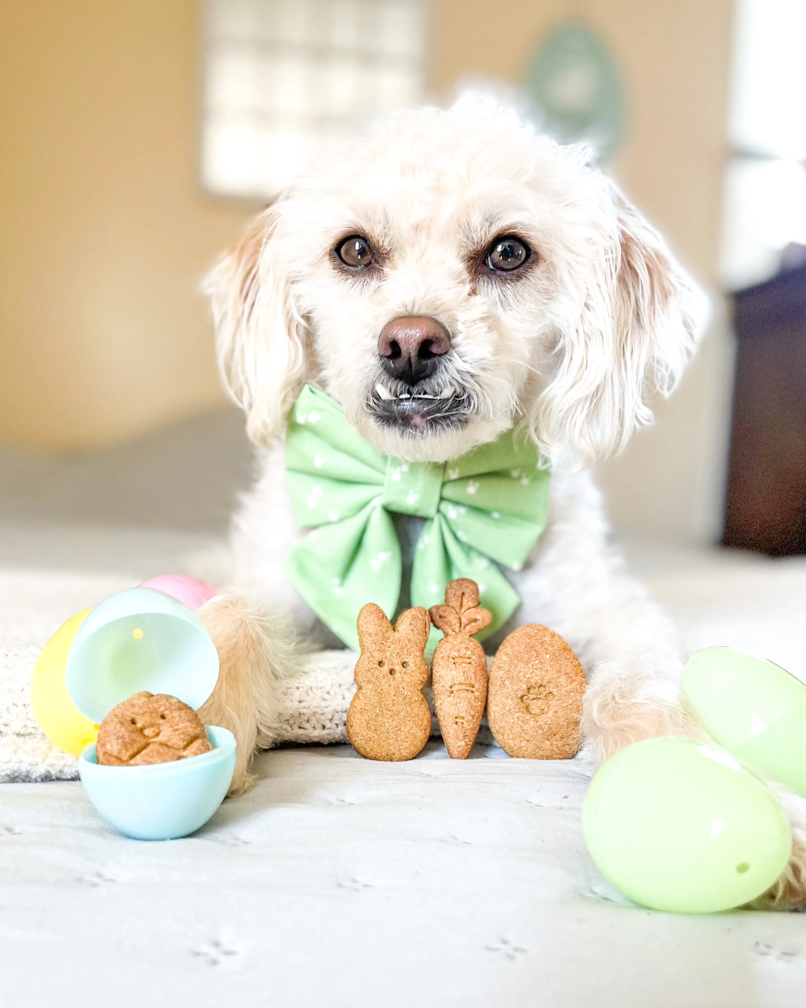 HOPPY Easter BUNDLE of Cookie Cutters (Bundle of 3)