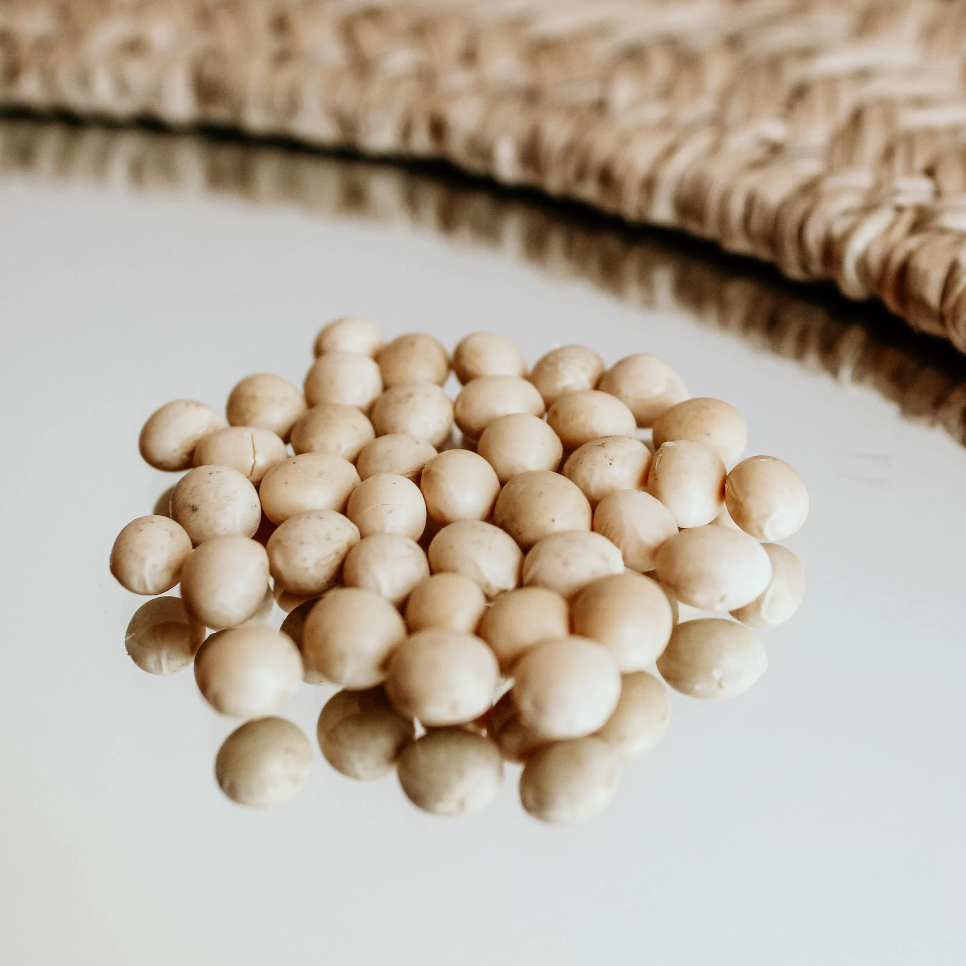 Organic Soy Beans