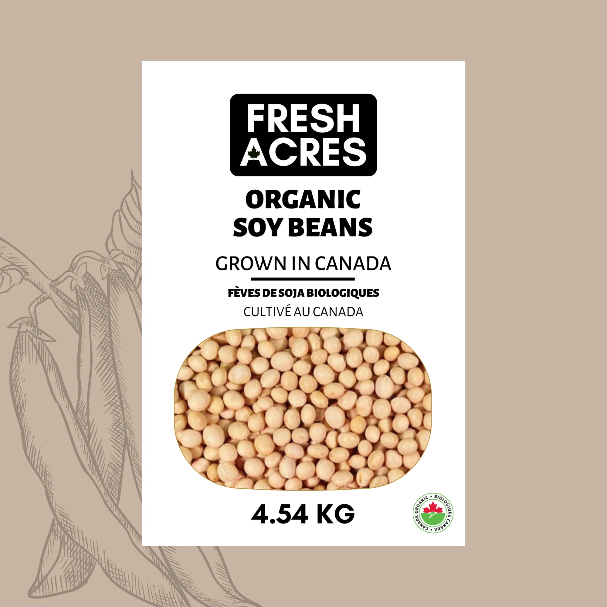 Organic Soy Beans