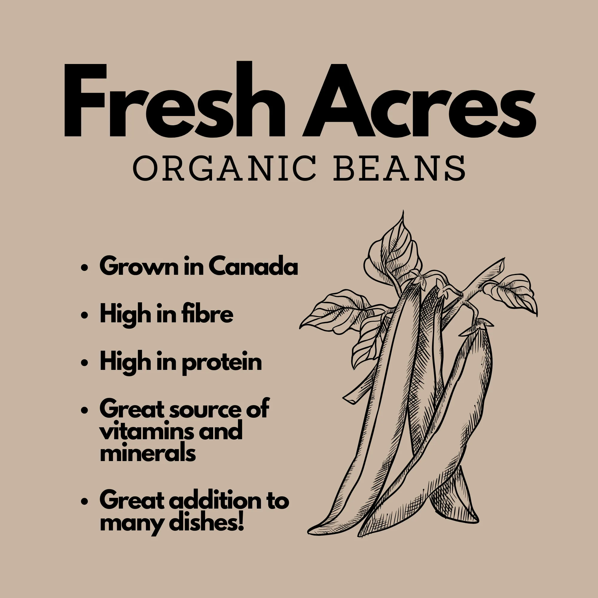 Organic Soy Beans