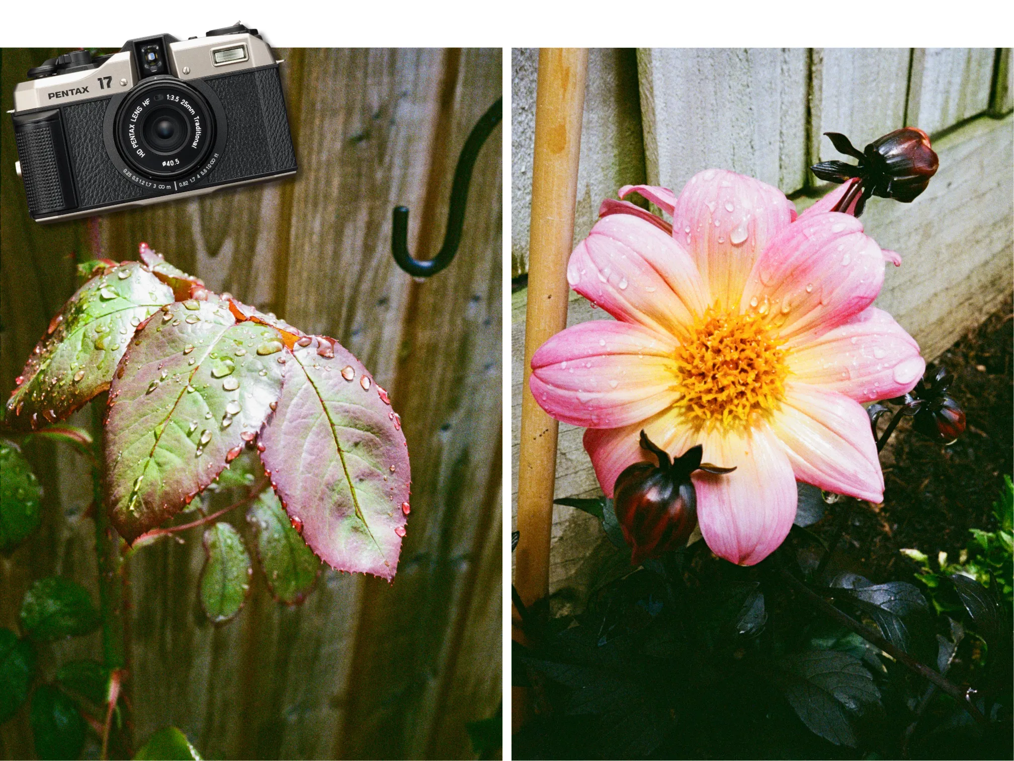 Pentax 17 Camera Bundle with 2 FREE Films!