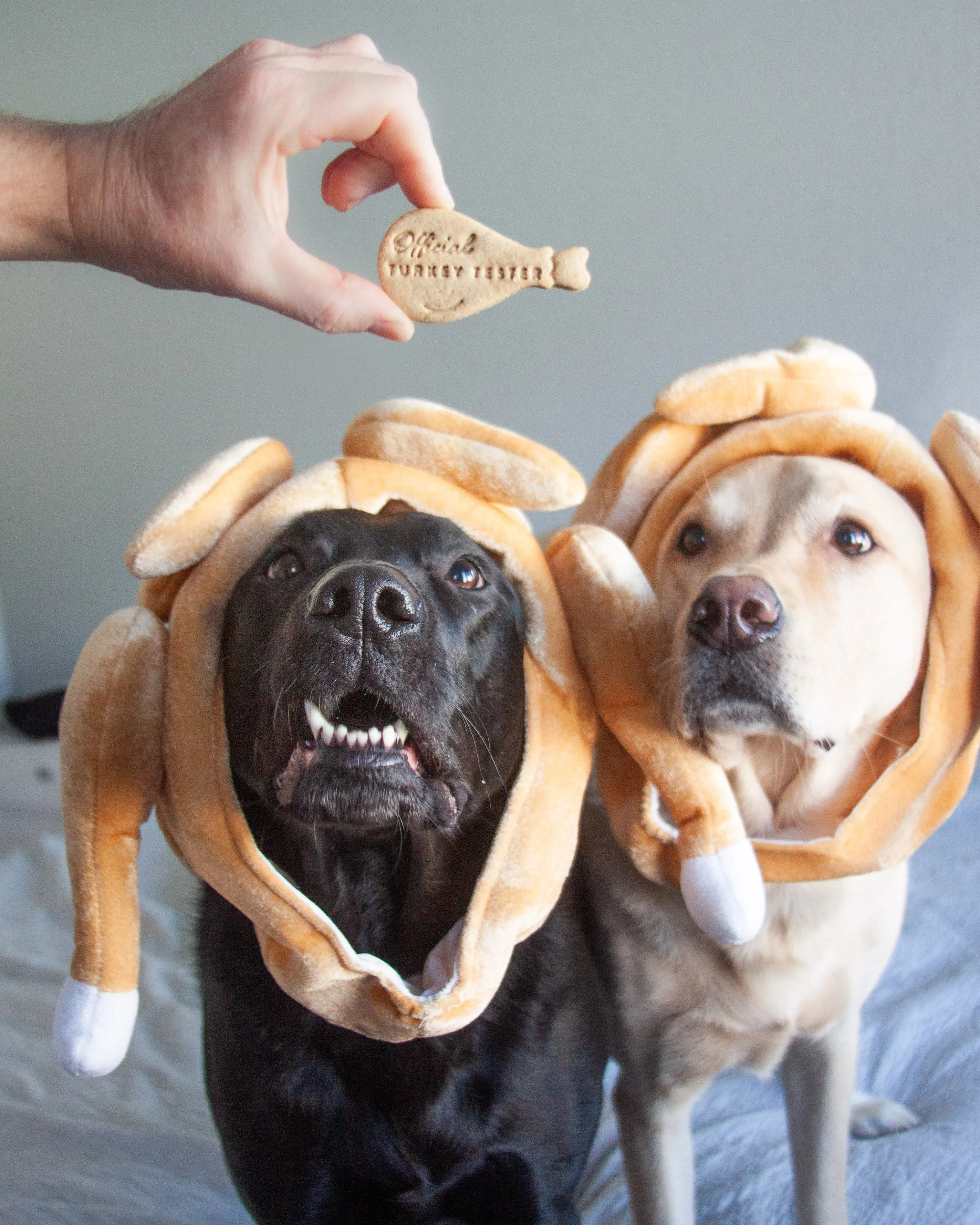 "Official Turkey Tester" Turkey Leg Dog Biscuit Cookie Cutter
