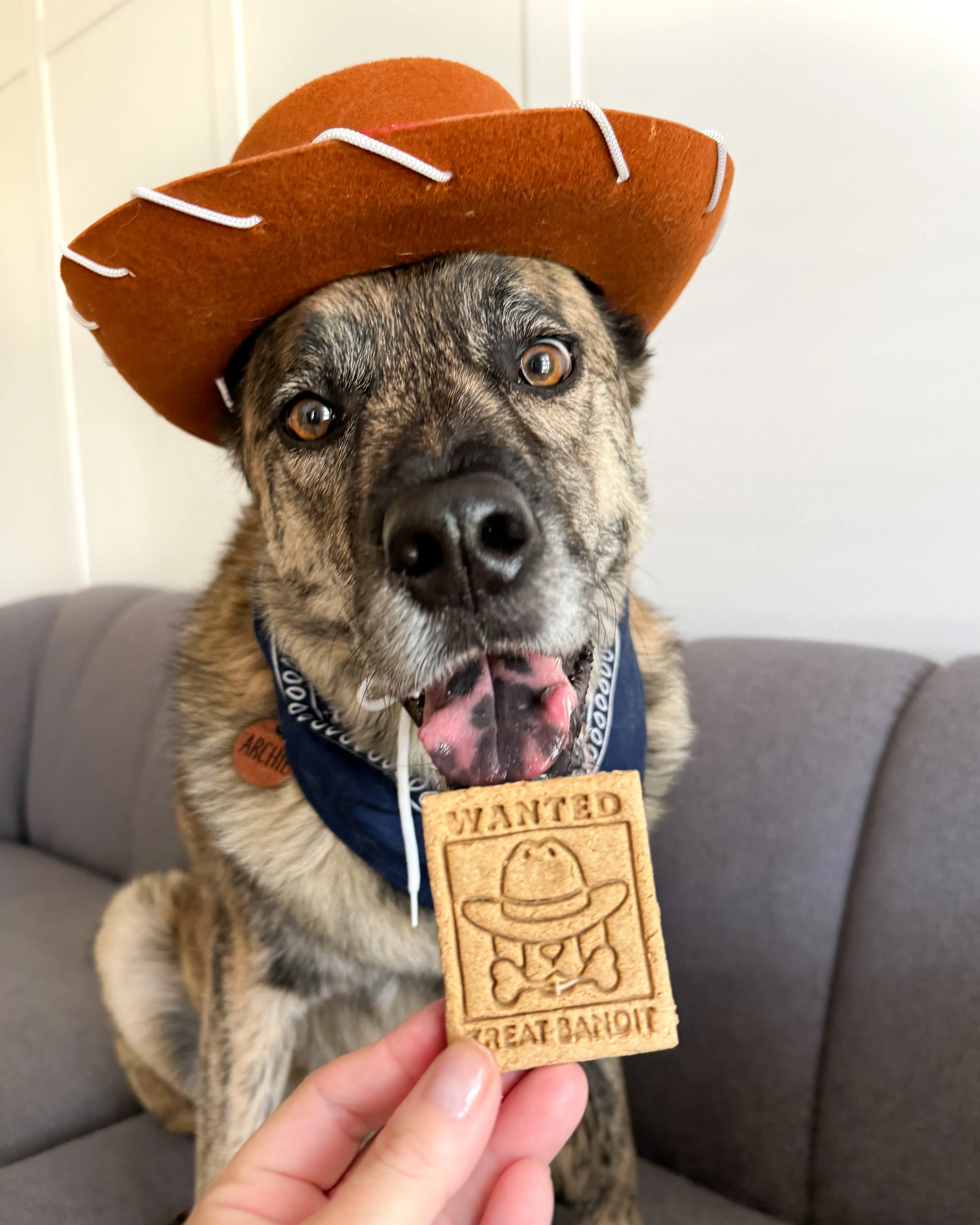 "Wanted, Treat Bandit" Wild West Outlaw Poster Shaped Dog Cookie Cutter