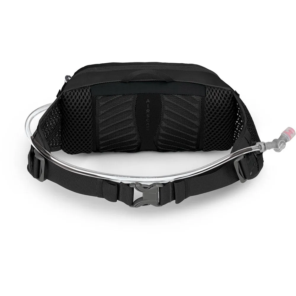 Seral 4 Waist Pack
