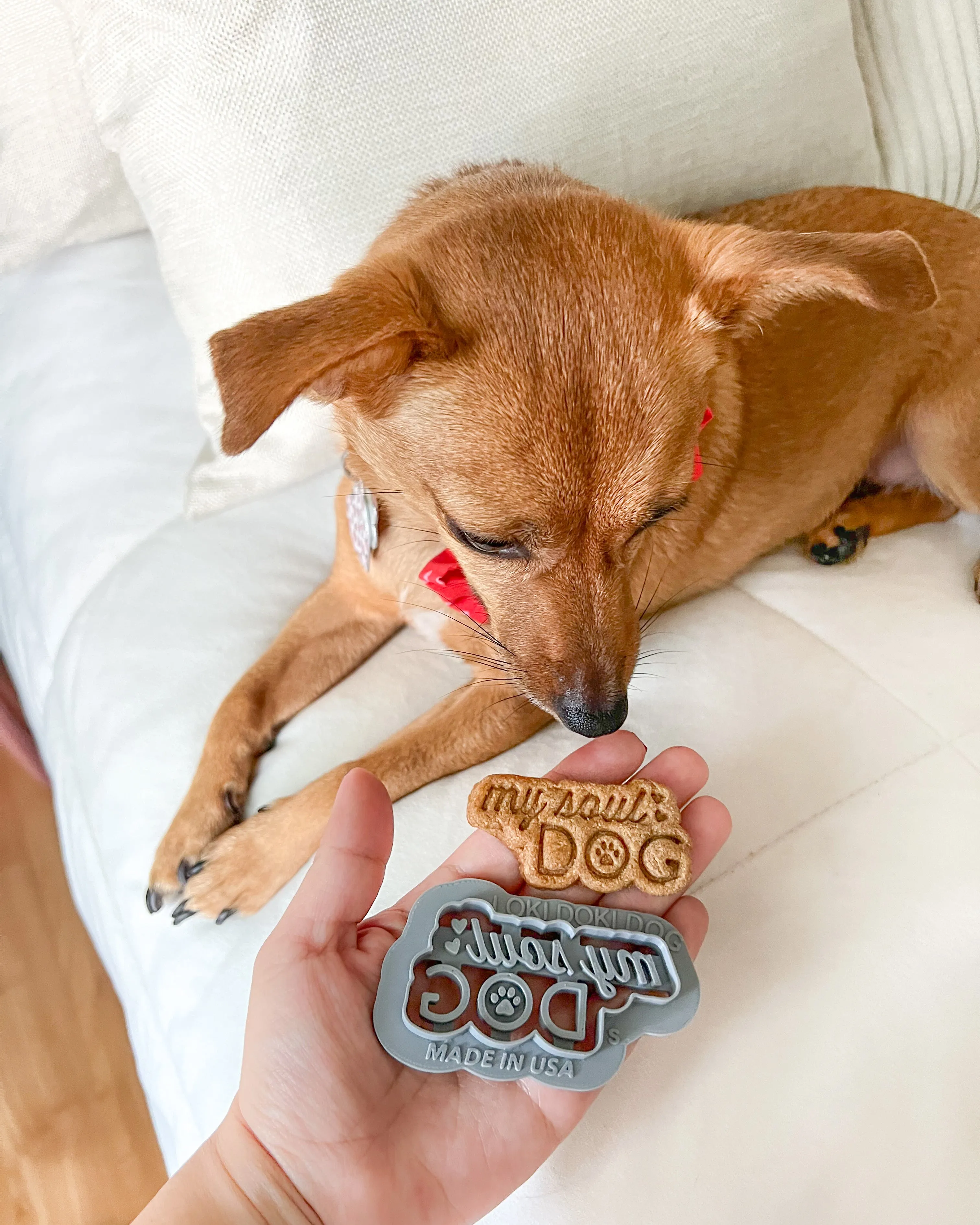 Soul Dog & Heart Dog - Dog Biscuit Cookie Cutter