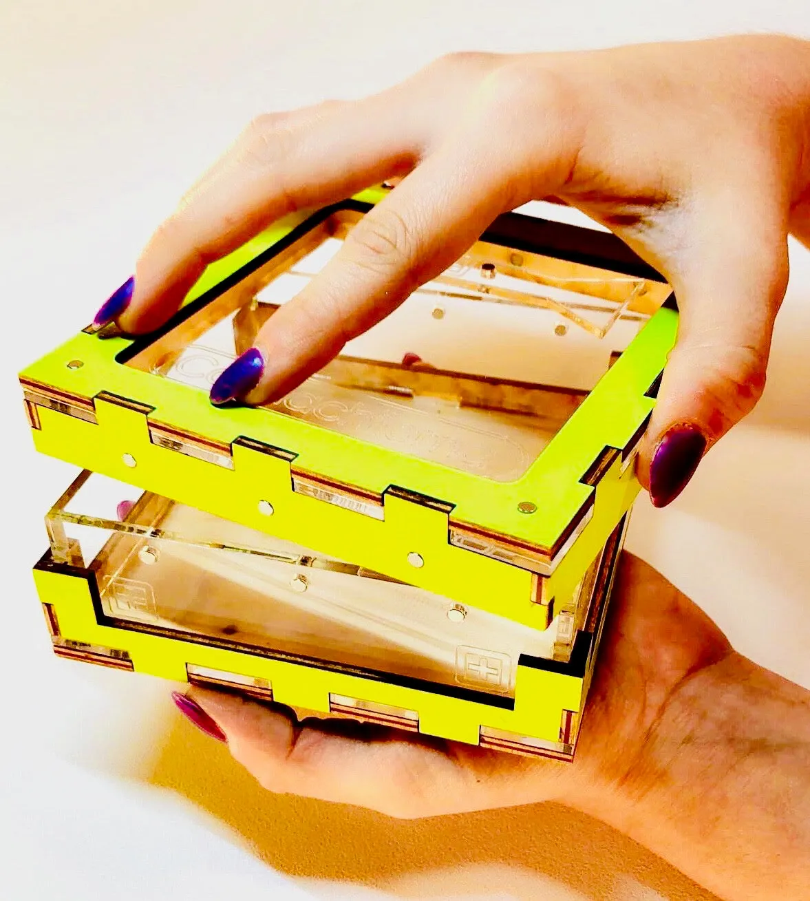The Bud Box XL