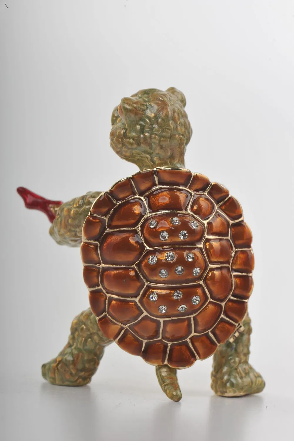 Turtle Playing the Guitar
