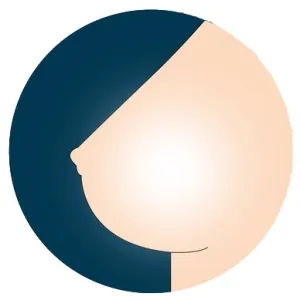 WM  Breast Option - Hollow Breasts