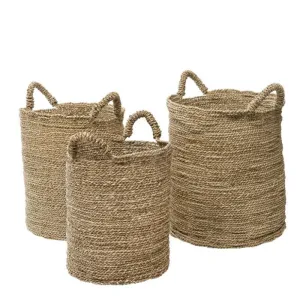 Woven Palm Leaf Basket w/ Handles (3 Sizes)