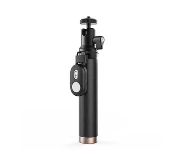 Yi 4k Action Camera Selfie Stick and Bluetooth Remote (Black)